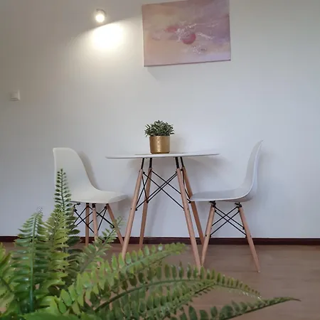 Studio Lesne 1-5 *