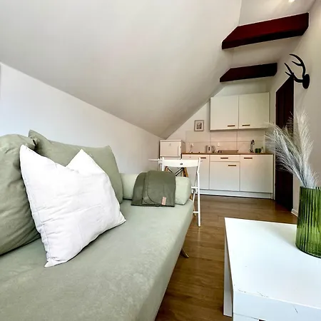 Studio Lesne 1-5 *