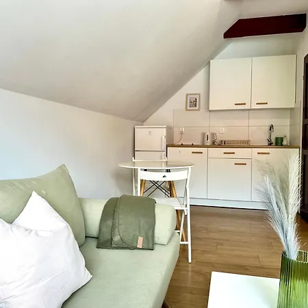 Apartman Studio Lesne 1-5 *